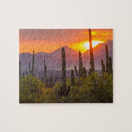 Desert cactus sunset Arizona Jigsaw Puzzle