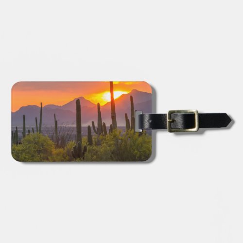 Desert cactus sunset Arizona Luggage Tag