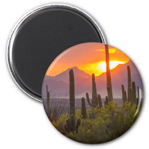 Desert cactus sunset Arizona Magnet
