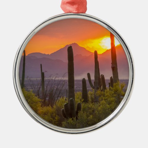 Desert cactus sunset Arizona Metal Ornament