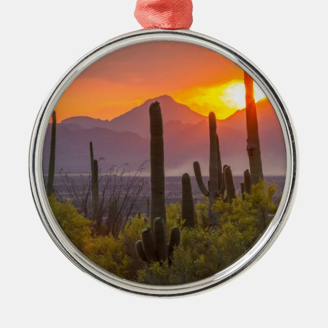 Desert cactus sunset, Arizona Metal Ornament (Front)