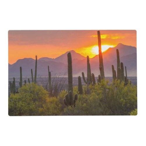 Desert cactus sunset Arizona Placemat