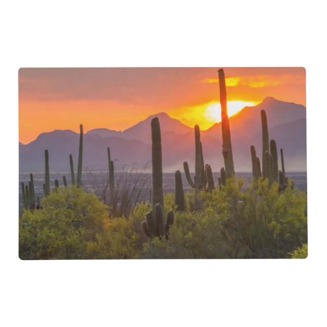 Desert cactus sunset, Arizona Placemat (Front)