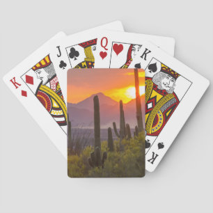 Desert cactus sunset, Arizona Poker Cards
