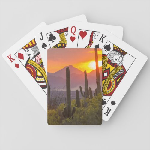 Desert cactus sunset Arizona Poker Cards