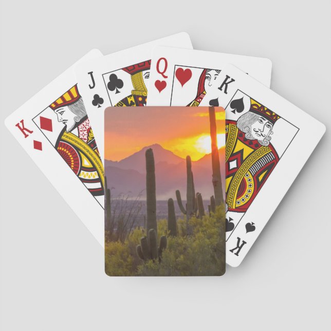 Desert cactus sunset, Arizona Poker Cards (Back)