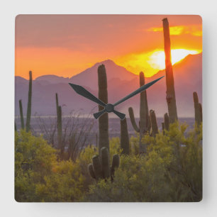 Desert cactus sunset, Arizona Square Wall Clock