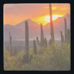 Desert cactus sunset, Arizona Stone Coaster<br><div class="desc">USA,  Arizona,  Saguaro National Park. Sunset on desert landscape.  | Jaynes Gallery / DanitaDelimont.com</div>