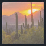 Desert cactus sunset, Arizona Stone Coaster<br><div class="desc">USA,  Arizona,  Saguaro National Park. Sunset on desert landscape.  | Jaynes Gallery / DanitaDelimont.com</div>
