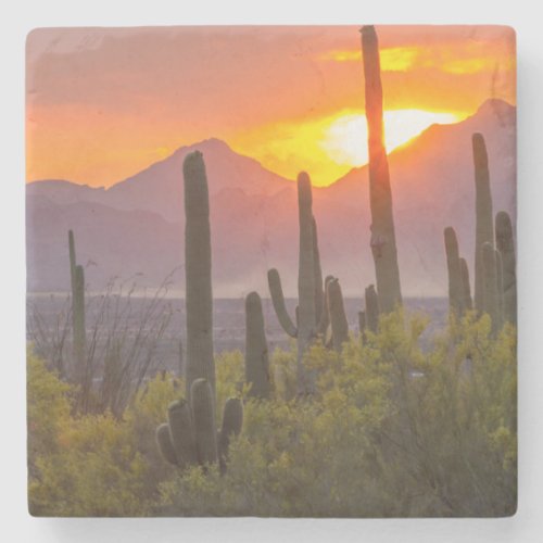 Desert cactus sunset Arizona Stone Coaster