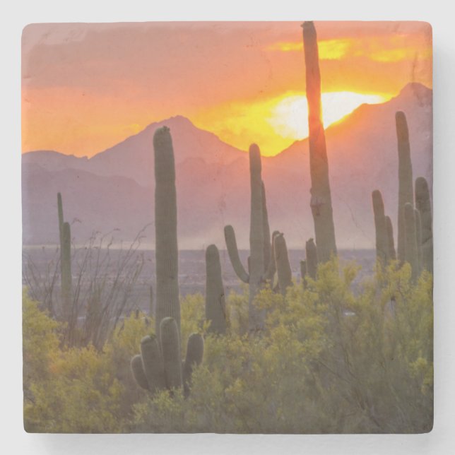 Desert cactus sunset, Arizona Stone Coaster (Front)