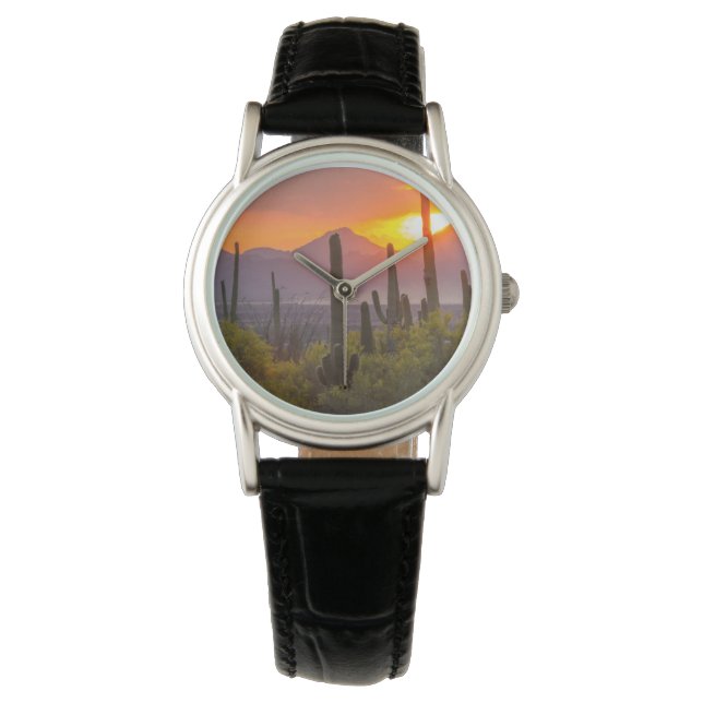 Desert cactus sunset, Arizona Watch (Front)