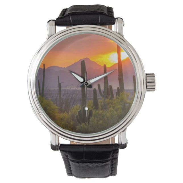Desert cactus sunset, Arizona Watch (Front)