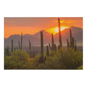 Desert cactus sunset, Arizona Wood Wall Decor