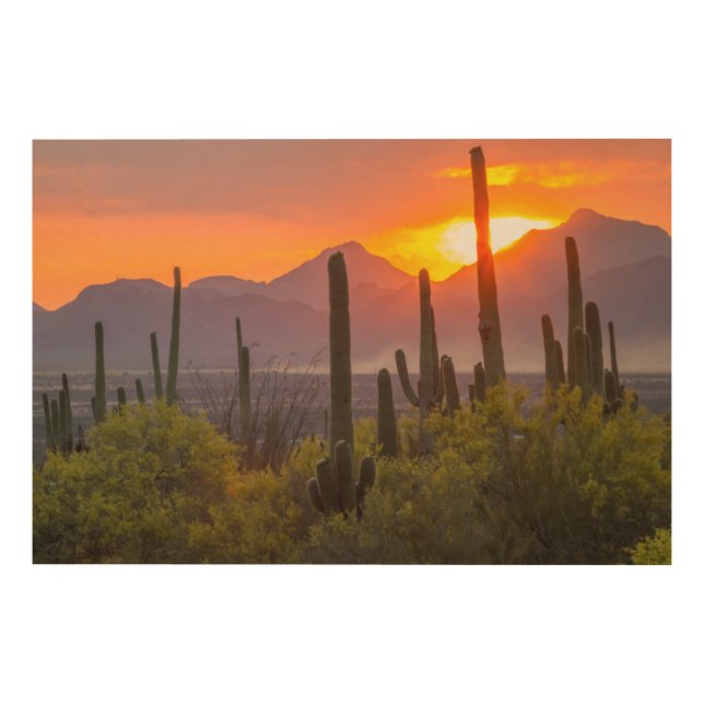 Desert cactus sunset, Arizona Wood Wall Decor (Front)