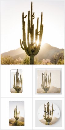 Desert & Cactus Themed Gifts & Decor