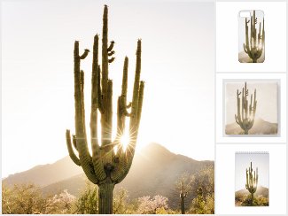 Desert & Cactus Themed Gifts & Decor