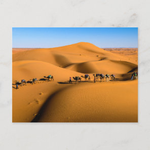 DESERT CAMEL TRAIN - Sand Dunes in Tamnougalt Postcard