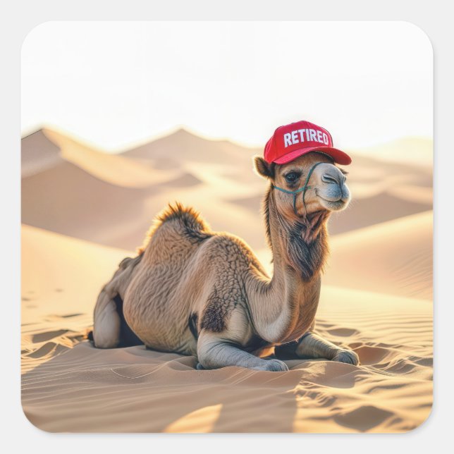 Desert Camel Wearing a Red Retired Cap Square Sticker (Front)