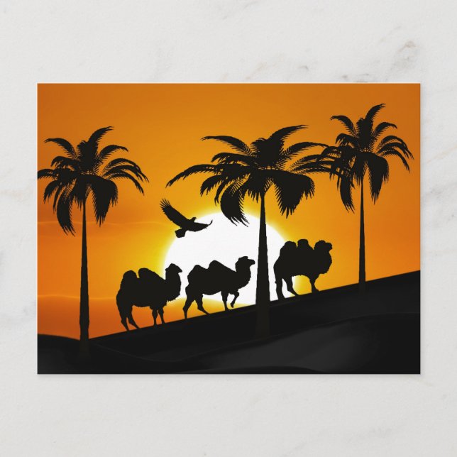 Desert Camels at sunset Postcard (Front)