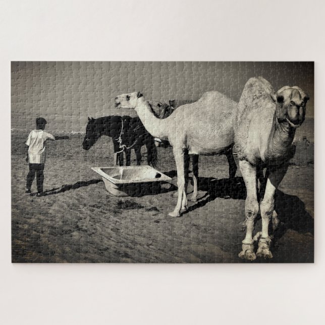 Desert Camels Jigsaw Puzzle (Horizontal)