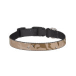 Desert Camo Pet Collar