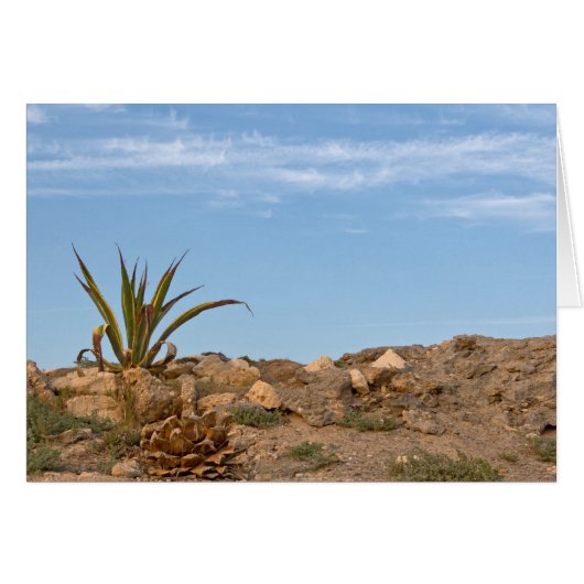 desert cards (Front Horizontal)