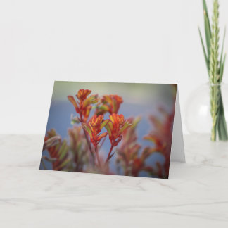 Desert Christmas Garden Plant Red Green Holiday Card