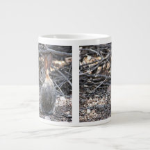 Desert Cottontail - Jumbo Mug