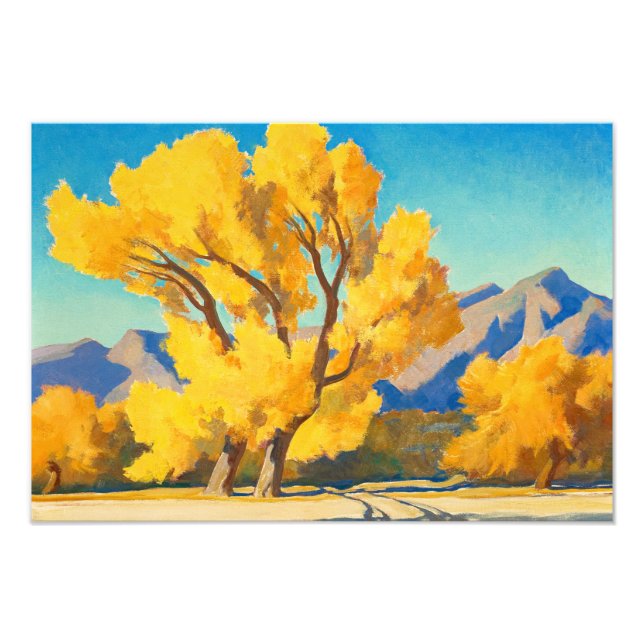 Desert Cottonwoods, Arizona by Maynard Dixon Photo Print (Front)
