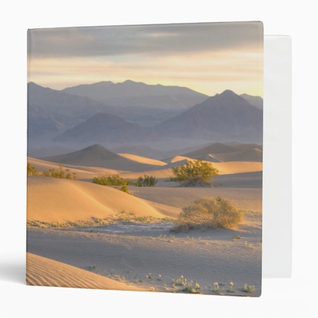 Desert Dawn Binder (Front/Inside)