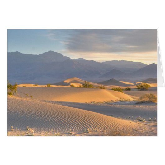 Desert Dawn Cards (Front Horizontal)
