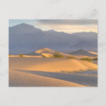 Desert Dawn Postcard by usdeserts at Zazzle