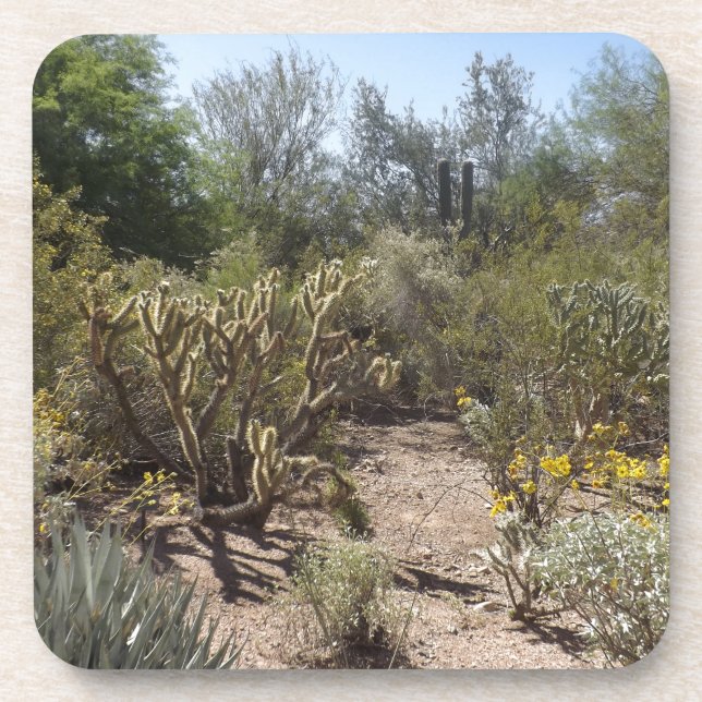 Desert Drink Coaster (Front)