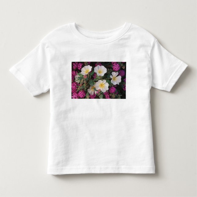 Desert Evening Primrose and Desert Sand Verbena, Toddler T-shirt (Front)
