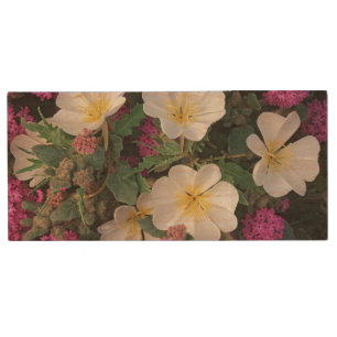 Desert Evening Primrose and Desert Sand Verbena, Wood USB Flash Drive