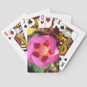 Desert Five Spot Wildflower Poker Cards