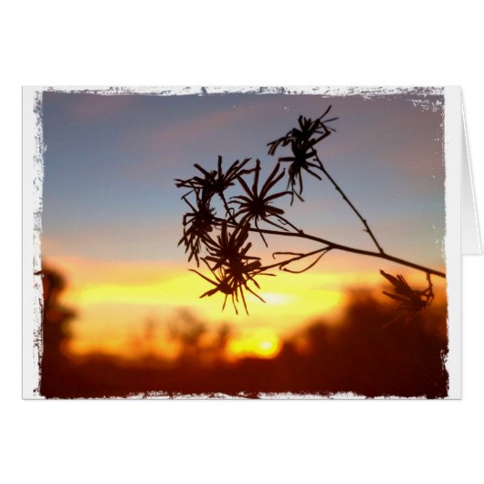 Desert Flower on Sunset Blank Card (Front Horizontal)