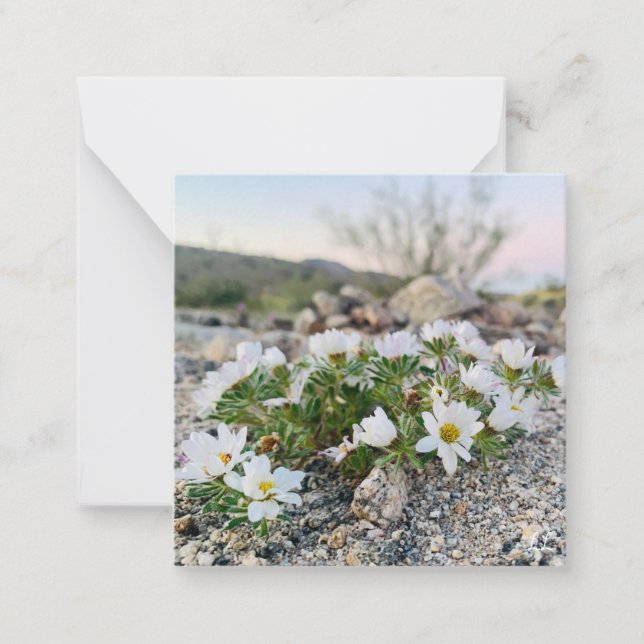Desert Flowers Note Card (Front)