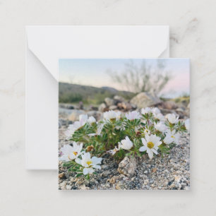 Desert Flowers Note Card
