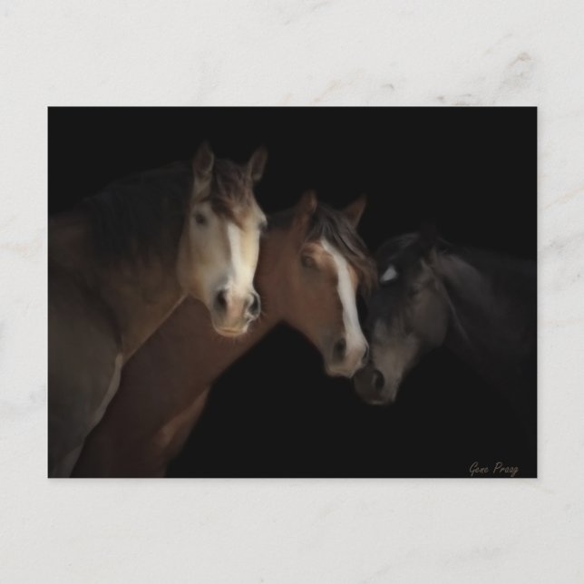 Desert Ghosts Postcard (Front)