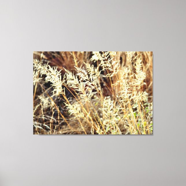 desert grasses wrapped canvas print (Front)