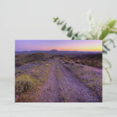 Desert Gravel Road (Standing Front)