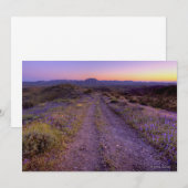 Desert Gravel Road (Front/Back)