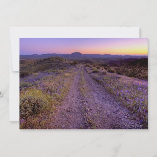 Desert Gravel Road Custom Invite