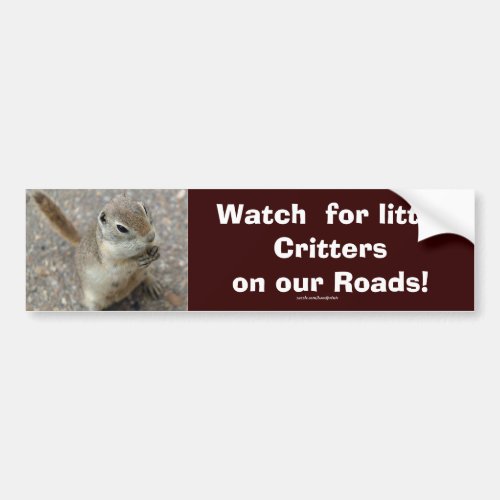 Desert Ground Squirrel Animal Motivational Bumper Sticker