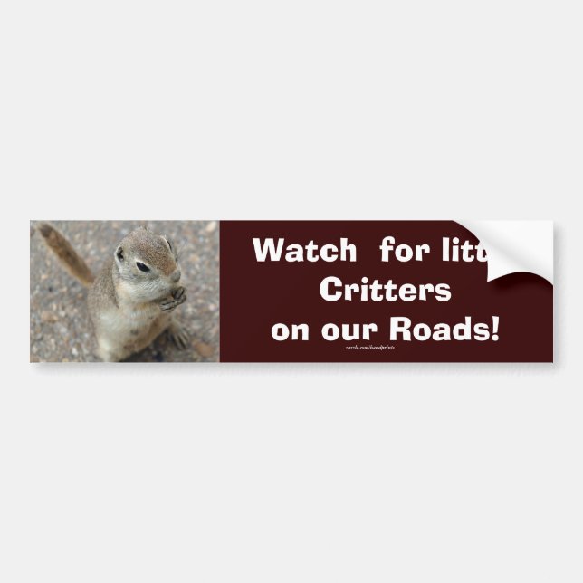 Desert Ground Squirrel Animal Motivational Bumper Sticker (Front)