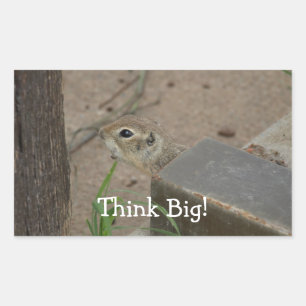 Desert Ground Squirrel Animal Motivational Rectangular Sticker