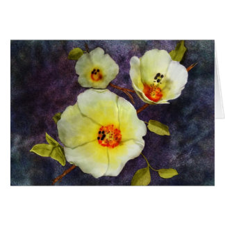 Desert Hibiscus Cards