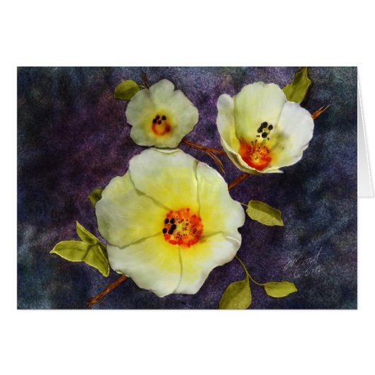 Desert Hibiscus Cards (Front Horizontal)